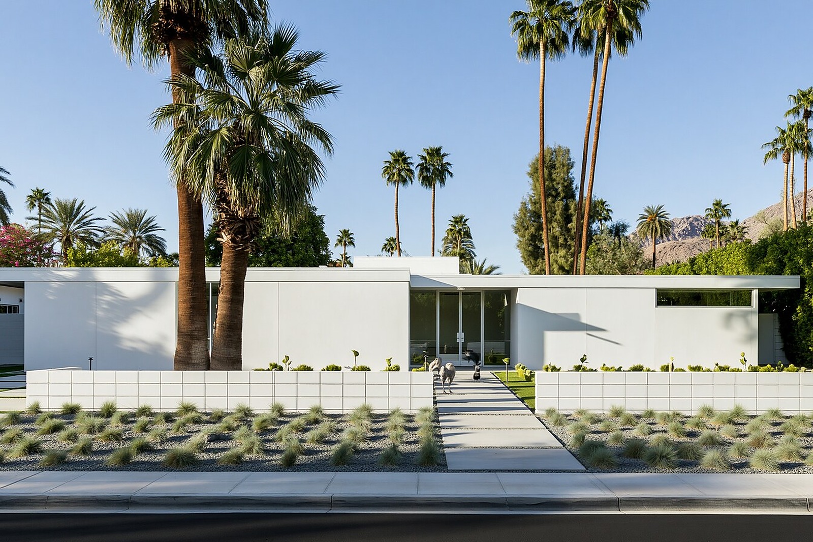 Palms